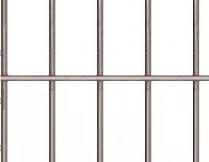Сетка сварная d 2,8мм/250х50мм/1,725х118м (оцинкованная)  от "Мастер Тайм" - фото №1